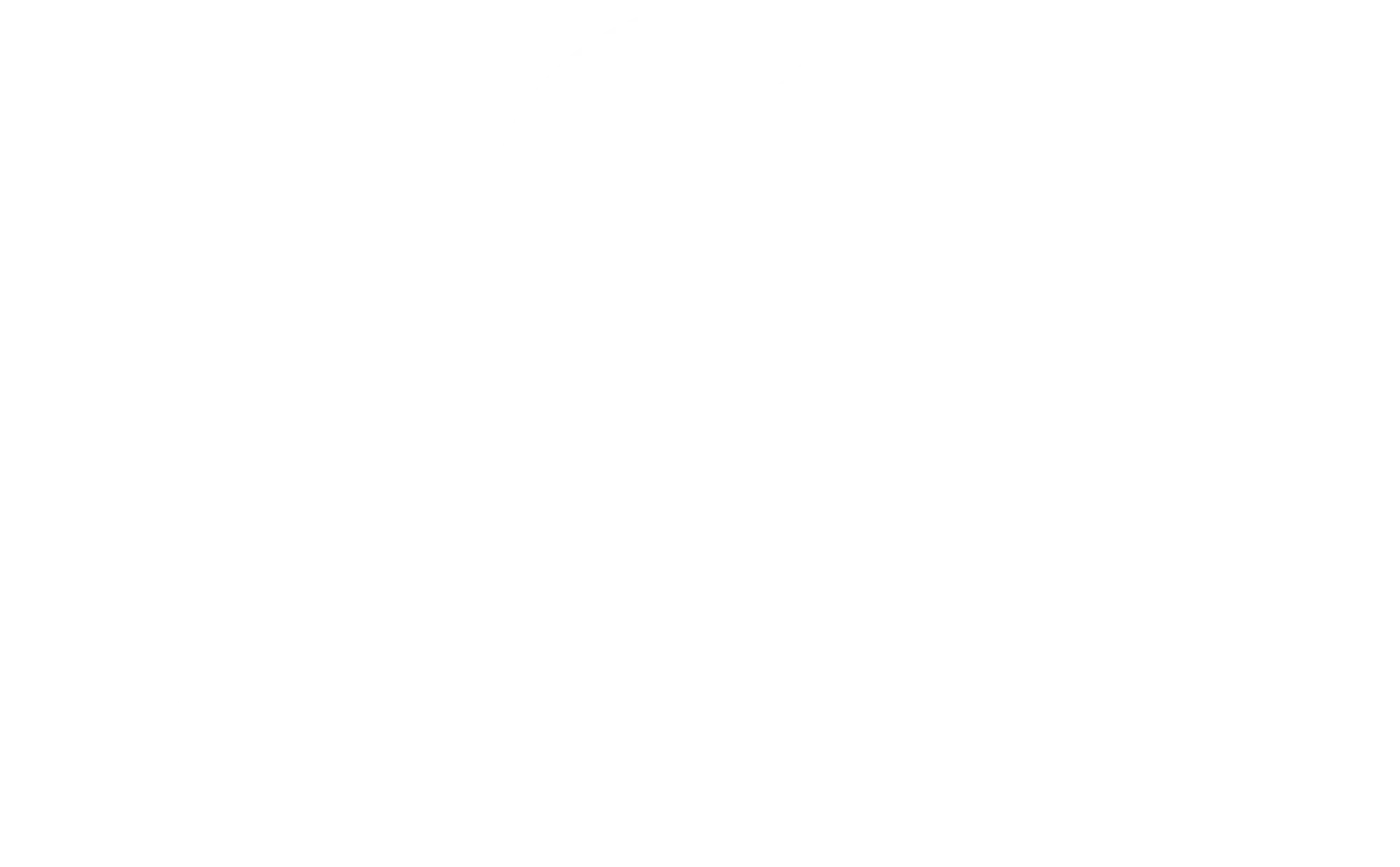 Cameleon Agency